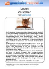 Afrikanische Knirpsmaus - Sachtext.pdf